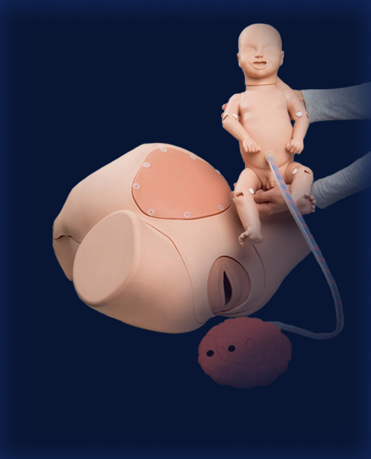 3B Scientific Birthing Simulator PRO birthing simulator pro:First